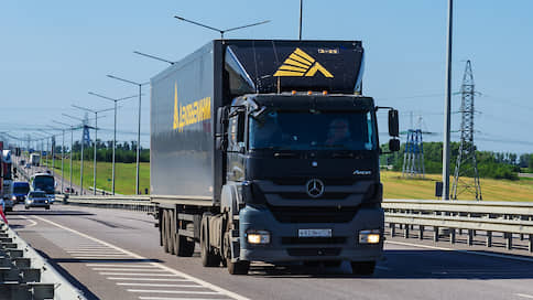 «Деловые линии» становятся пунктирными  / Суд арестовал акции компаний группы