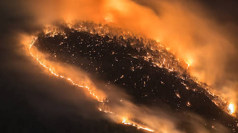 Из искры возгорятся планы  / Минприроды предлагает радикально сократить территории, где можно не тушить лесные пожары