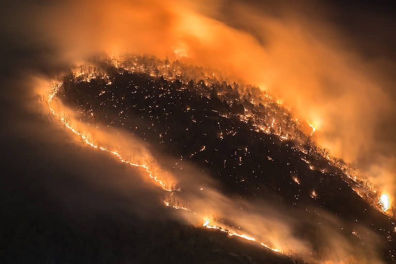 Минприроды настаивает, что для пожарных в российских лесах не должно остаться практически никаких удаленных и труднодоступных участков