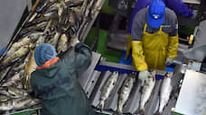 Рыбные заводы меняют инвесторов