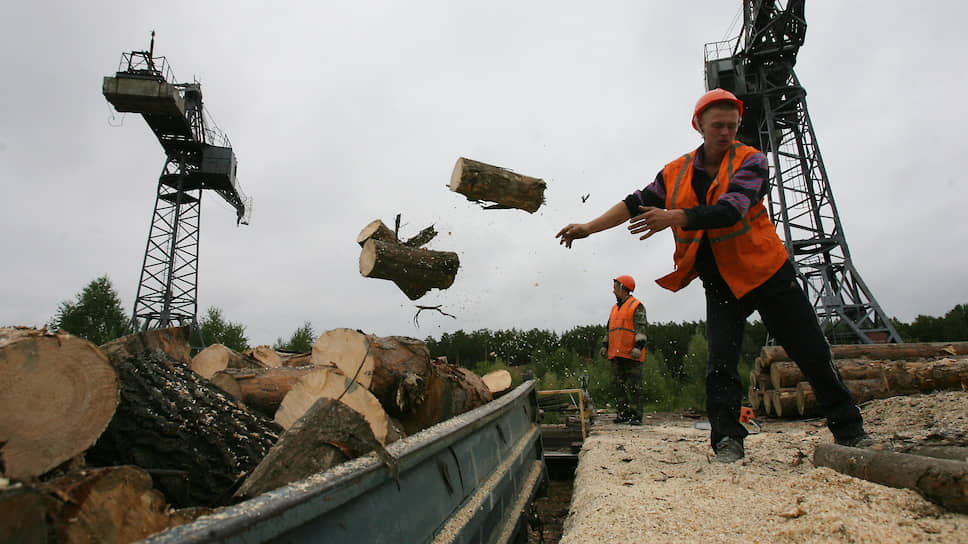 Ценность российских лесов оценивается пока много выше, чем сокращающая их российская бесхозяйственность