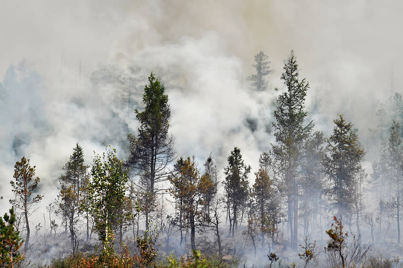 Дым лесных пожаров, прогнозируют в Рослесхозе, скоро затянет южные регионы России