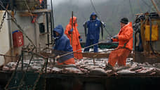 Рыбаки ловят льготы