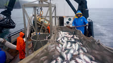 Рыбные заводы отделяют от судов