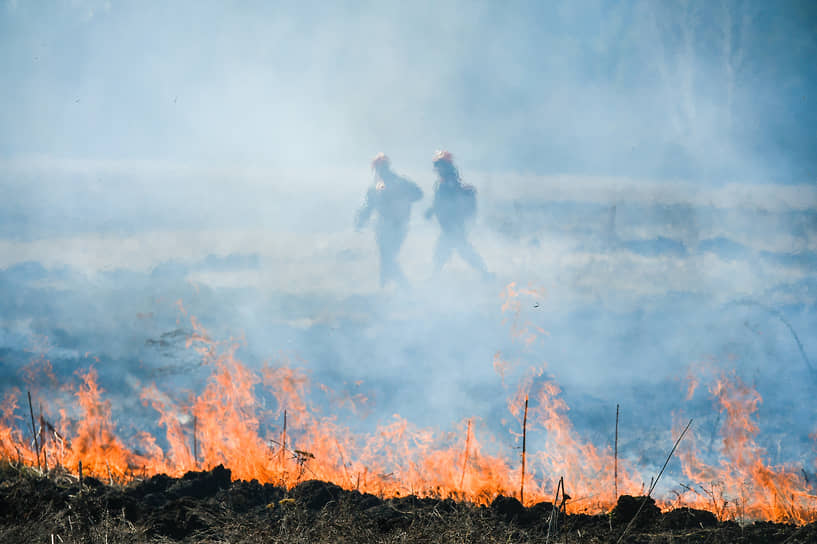 В Рослесхозе рассчитывают, что нынешним летом природные пожары будут не столь масштабными, как в прошлом году