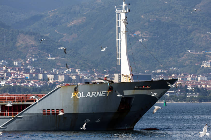 Первым судном, доставившим украинское продовольствие к месту назначения, оказался турецкий сухогруз Polarnet. В понедельник утром он привез 12 тыс. тонн кукурузы в турецкий порт Дериндже в Измитском заливе
