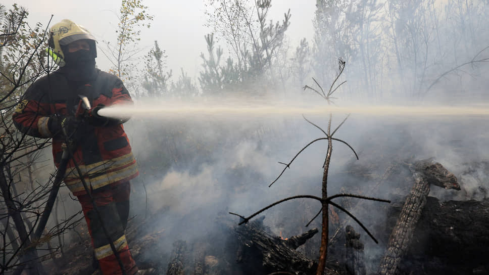 Кто займется координацией тушения лесных пожаров в России