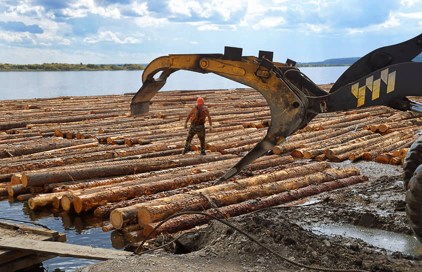 Правительство собирается увеличить транспортные субсидии лесопромышленникам для вывоза продукции в Азию