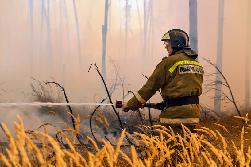 Лесные пожары, полагают эксперты, поможет потушить только достаточное финансирование
