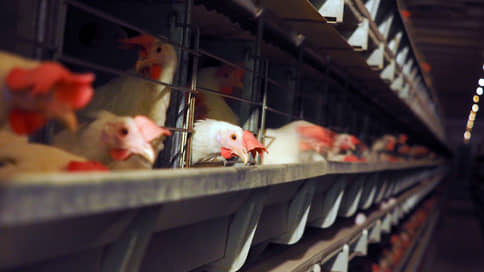 Бройлеры прирастают регионами // Производители мяса птицы расширяют бизнес