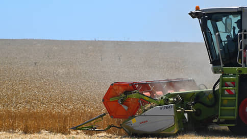 Зерно объявило запастовку // Экспорт твердой пшеницы из России могут ограничить на полгода