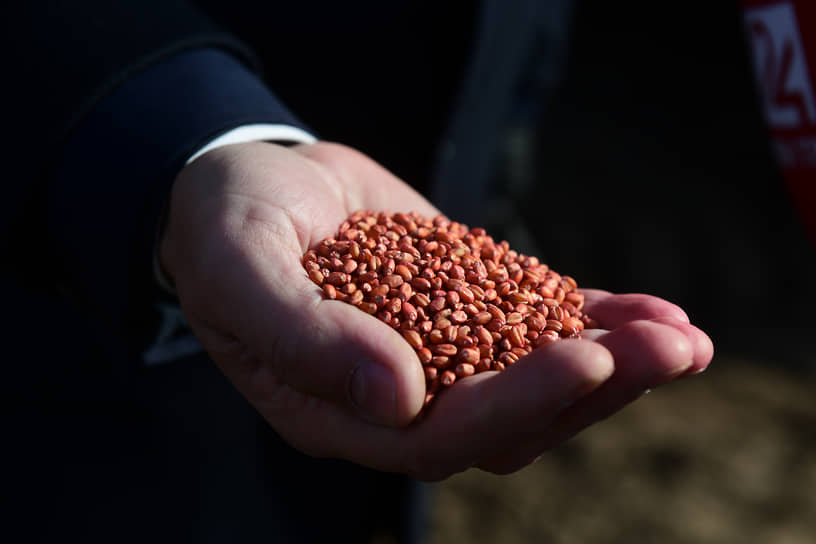 Санкционная рука Вашингтона может дотянуться до российского зерна и других видов продовольствия