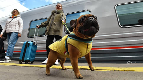 Животные не выйдут из вагона без начальника поезда // В РЖД определились, что делать с найденными в поездах животными