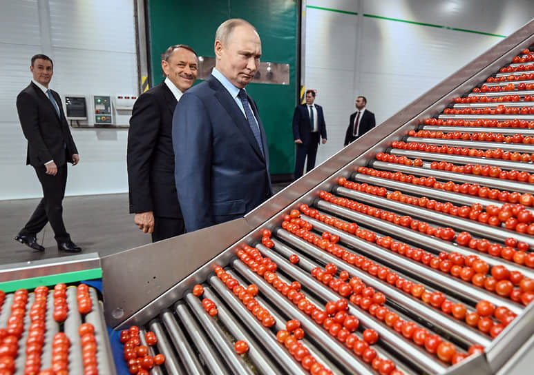 Владимира Путина не вдохновила идея зеленых томатов
