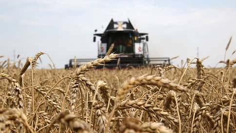 ФАО оценила виды на урожай // Мониторинг рынка продовольствия
