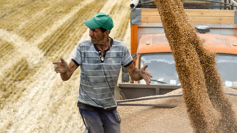 В зерне укрепились цены // Российская пшеница дорожает на мировом рынке