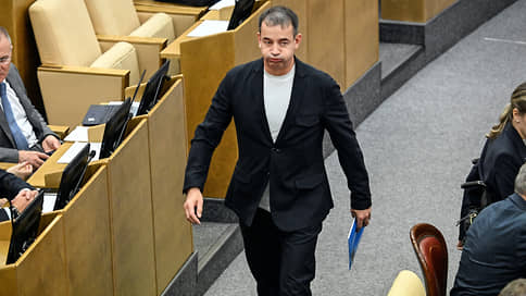 Депутаты не дадут России чебурахнуться // В Госдуме пообещали жестко разобраться с «буратинами и бременскими музыкантами»