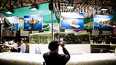 На Даниловском рынке открылась фотовыставка «Песни китов»