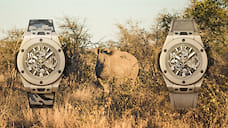 Hublot внесли вклад в сохранение популяции белых носорогов
