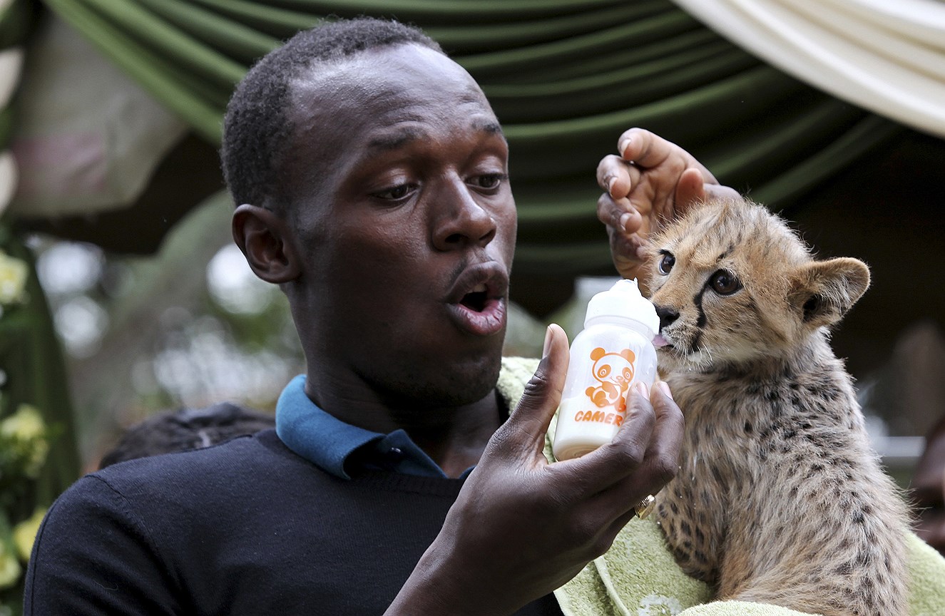 В 2009 году Болт усыновил детеныша гепарда в Национальном парке Найроби (Кения) и назвал его Молния