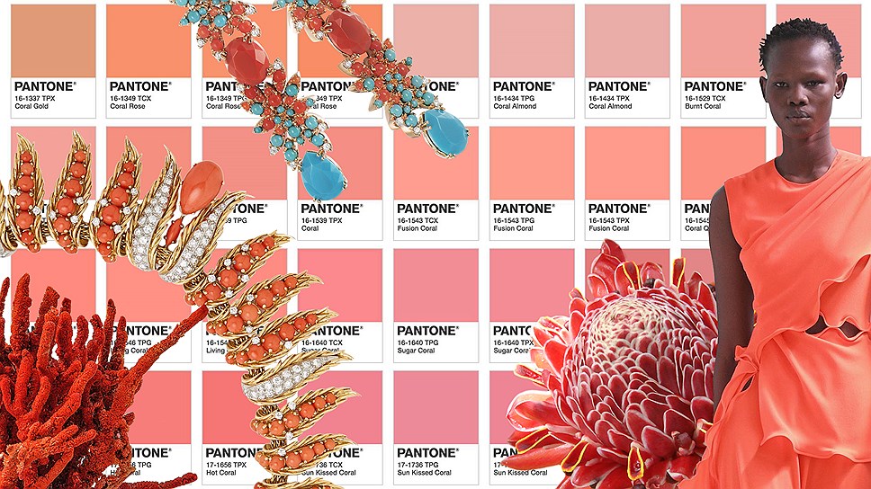 Коралловый — цвет 2019 года – Стиль
