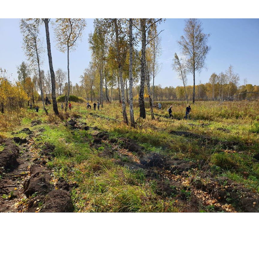 Сервис по восстановлению лесов в России «Посади лес», сертификат на посадку саженцев, в котором указаны GPS-координаты саженца и прикреплены его фотографии. Волонтеры движения ЭКА начнут посадку всех подаренных саженцев весной этого года, а следить за процессом и ухаживать за молодыми деревьями будут лесники. Цена: 20 саженцев — 2 000 руб