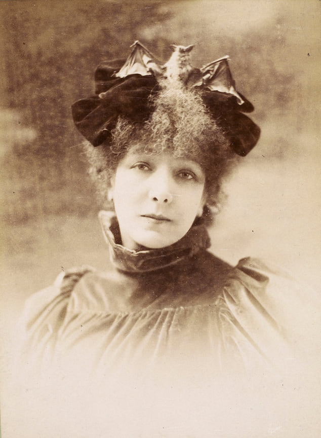 Отто Сара Бернхардт в шляпе летучей мыши, 1899 или 1900 год