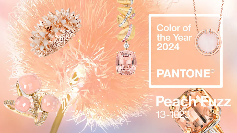 Главный цвет 2024 года выбран! Им стал Pantone 13-1023 Peach Fuzz