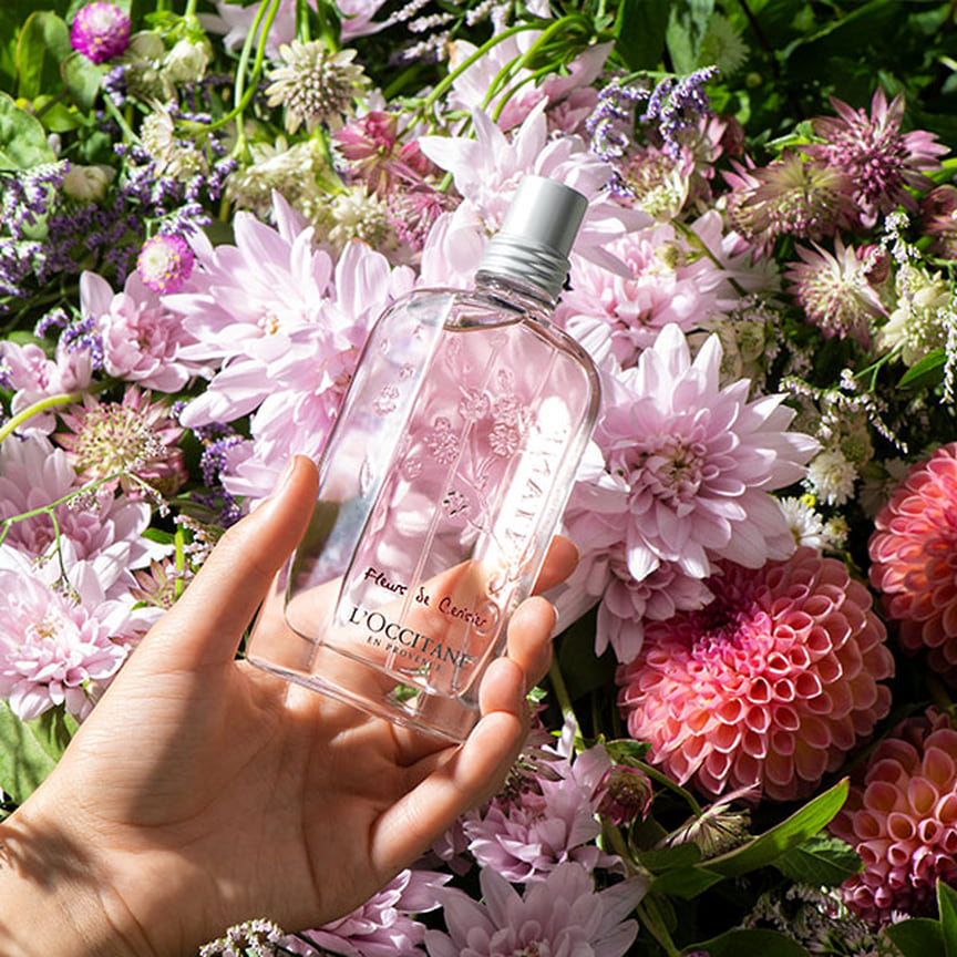 L&#39;Occitane en Provence, парфюмерная вода Cerisier Amoureux. Ноты: базилик, грейпфрут, бергамот, клубника, цветок вишни, цветочные ноты, мускус, кедр и амбра.
