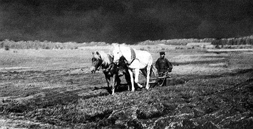Для получения даже мизерных урожаев русские земледельцы прилагали грандиозные усилия