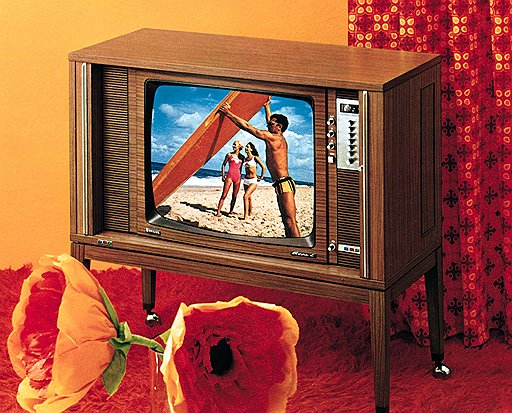 Нишу на американском рынке телевизоров компания Philips получила путем установления контроля над занимавшей ее фирмой Magnavox