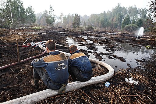 В лучшем случае в Московской области можно обводнить лишь треть торфяников: на остальных осушенных болотах теперь коттеджи и сельхозпредприятия