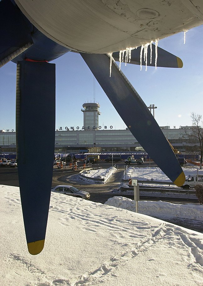 Домодедово станет первым аэропортом в портовой империи Магомедова 
