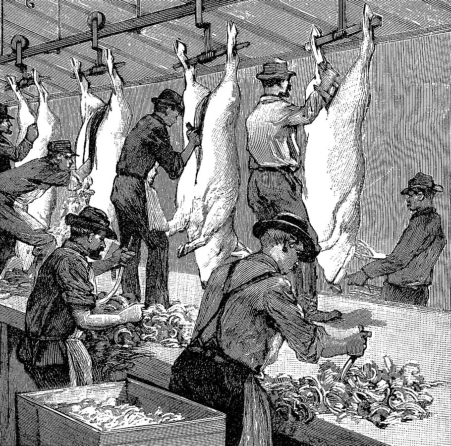 Проработав семь недель на чикагских бойнях, писатель Эптон Синклер написал книгу, которая чуть не зарезала американскую мясную промышленность 
