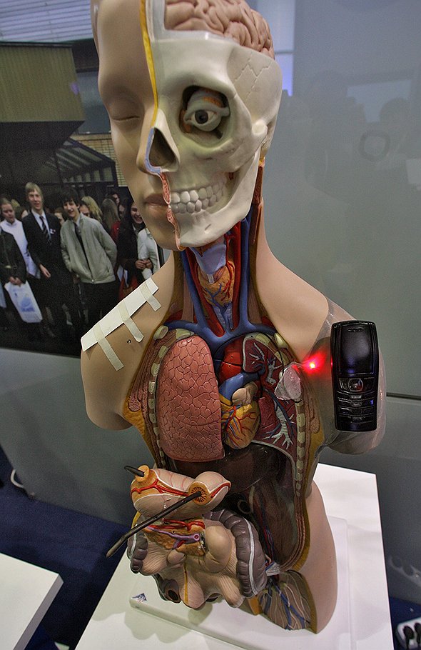 В обозримом будущем большая часть органов человеческого тела может быть заменена искусственными 