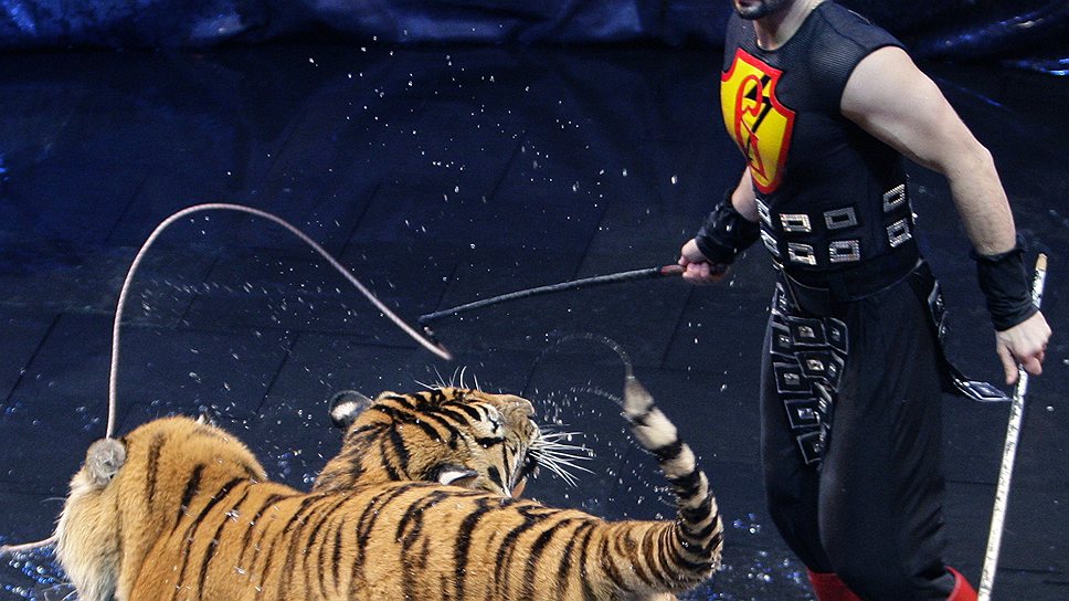 Защитники животных просят Эдгарда Запашного выпустить тигров на волю и заняться жонглированием