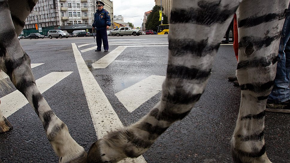 Пешеходов, не желающих переходить дорогу по &quot;зебре&quot;, могут освободить от оплаты ремонта сбивших их автомобилей