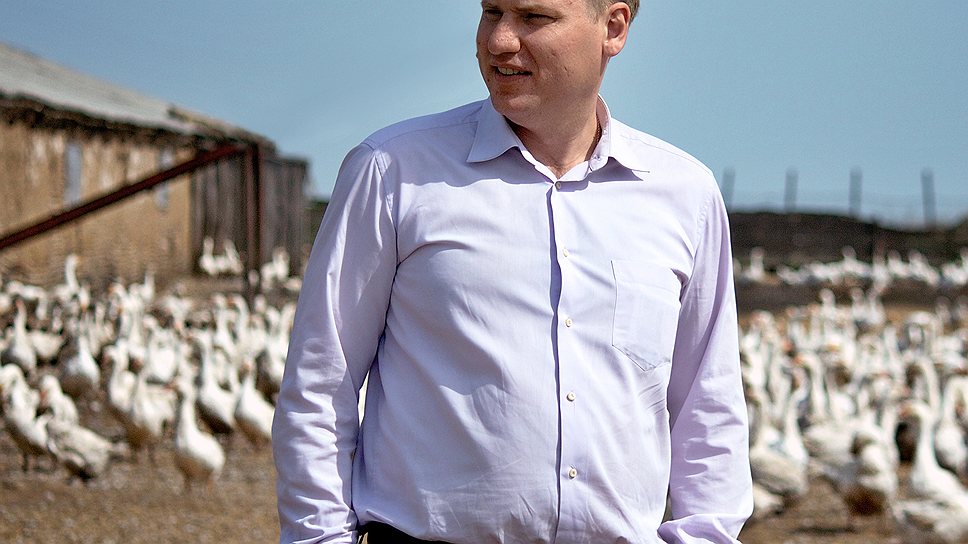 Пользователи интернета могут понаблюдать в режиме онлайн за гусями на ферме Константина Терещенко в Новосибирской области 
