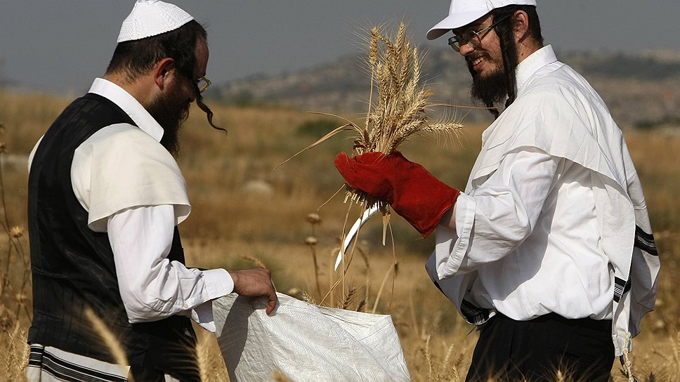 Несмотря на впечатляющее соцобеспечение в кибуцах, многие молодые израильтяне не хотят вступать туда из-за ограничений личной свободы 
