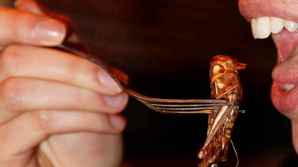 $1 млн получили недавно на конкурсе Hult Prize авторы стартапа по производству муки из насекомых. Награду вручил экс-президент США Билл Клинтон