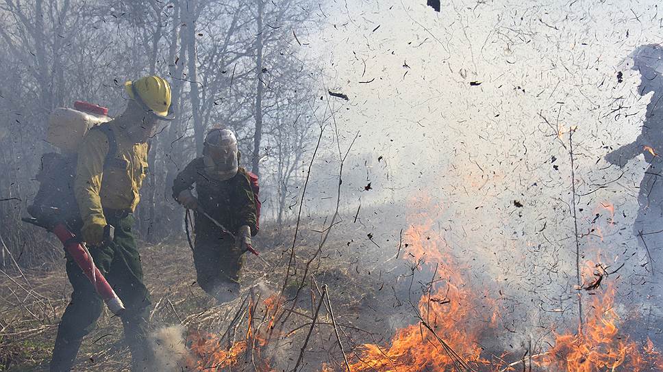 Противопожарный режим, запрещающий въезд и любую деятельность в лесу, действует сейчас в 15 регионах России 
