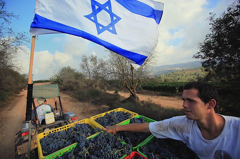 Чтобы россияне меньше страдали от продуктовых санкций, Израиль обещает утроить поставки продовольствия 
