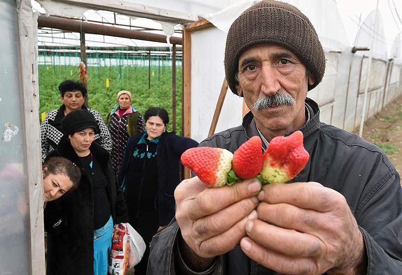 Низкий курс рубля представлял реальную угрозу для ориентированных на Россию сельхозпроизводителей 
