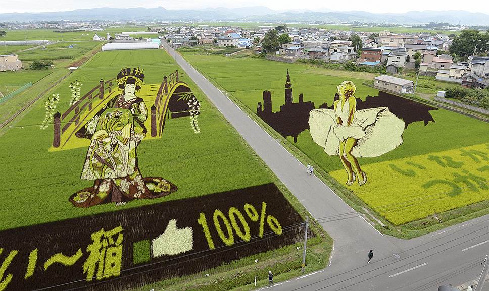 Найти клочок необработанной земли в Японии почти невозможно. А рисовые поля могут стать еще и арт-площадкой 
