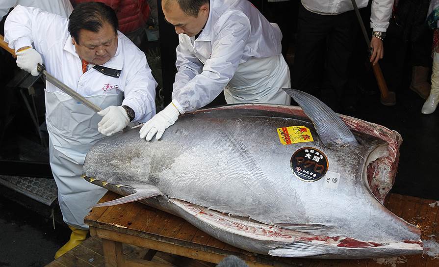 Рыба здесь больше, чем рыба: 269-килограммовый тунец на традиционном аукционе потянул на рекордные $735 тыс. 
