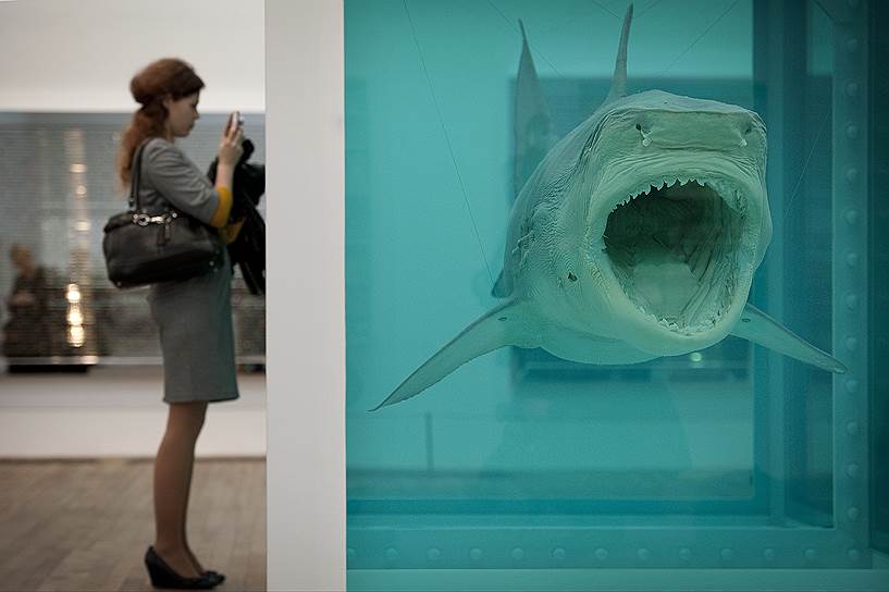 Аквариум с акулой в формальдегиде вряд ли удалось бы продать за $12 млн, если бы это не было произведением Дэмиана Херста под названием &quot;Физическая невозможность смерти в сознании живущего&quot;