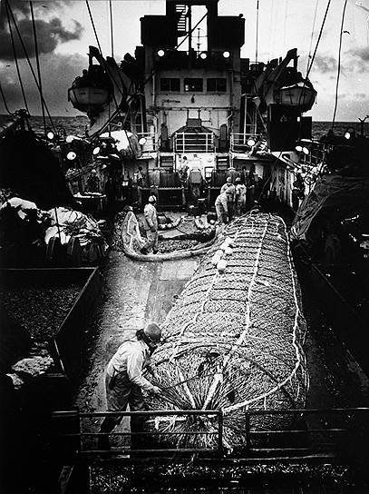 Каждая путина становилась Клондайком для работников рыболовецких колхозов 
