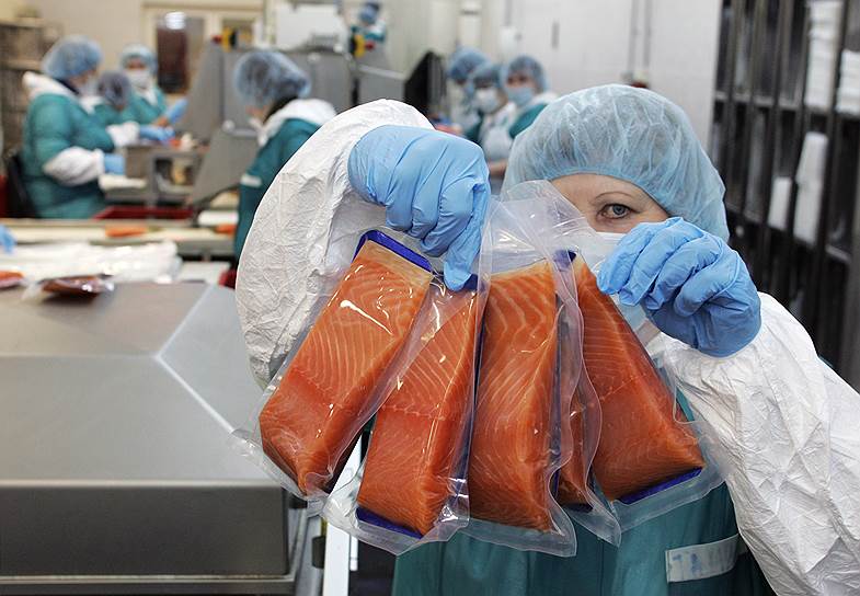 Оба российских проекта по выращиванию атлантического лосося, затеянные два года назад, потерпели неудачу