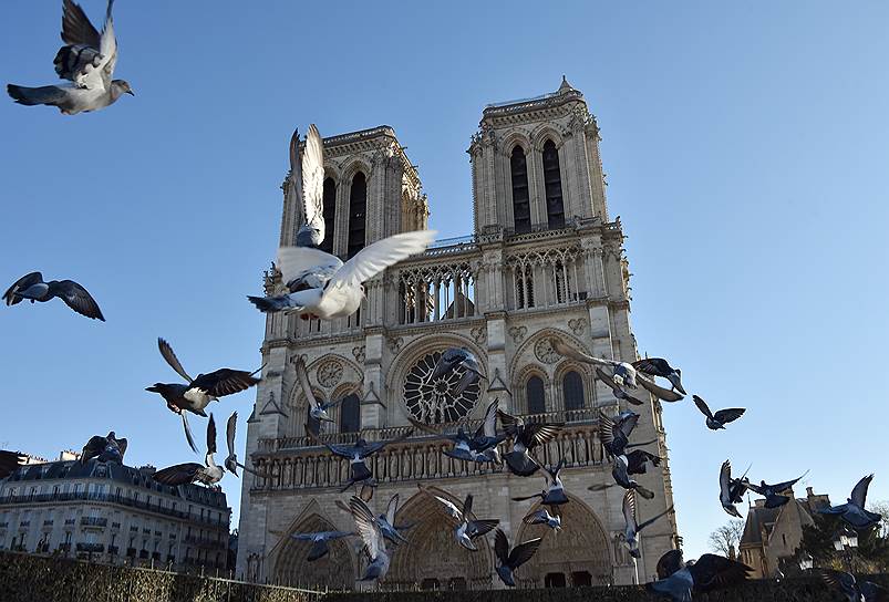 Не были достроены башни собора Парижской Богоматери