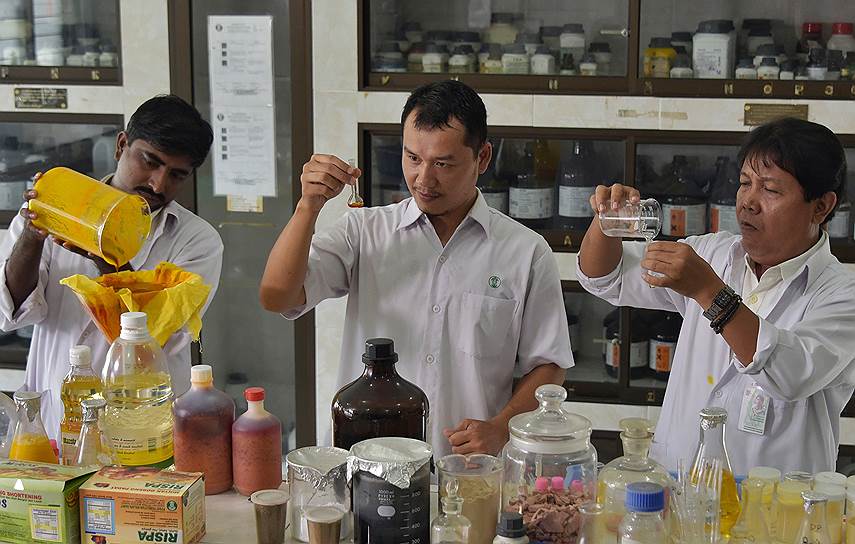 Институт исследования пальмового масла на Суматре изучает полезные свойства этого продукта